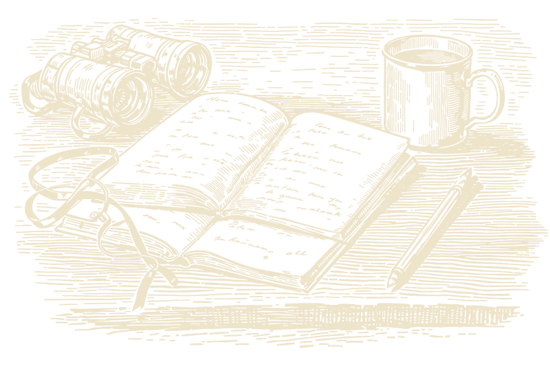 Woodcut of an open notebook, binoculars, and a coffee mug