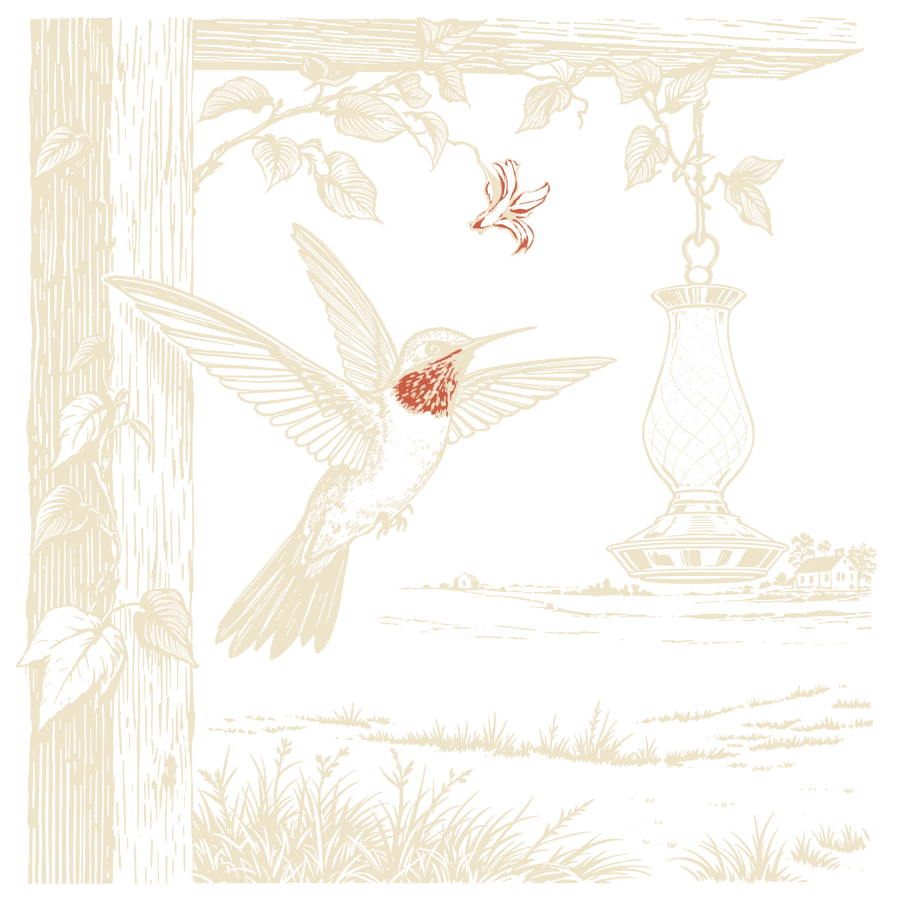 Woodcut of a ruby-throated hummingbird at a nectar feeder