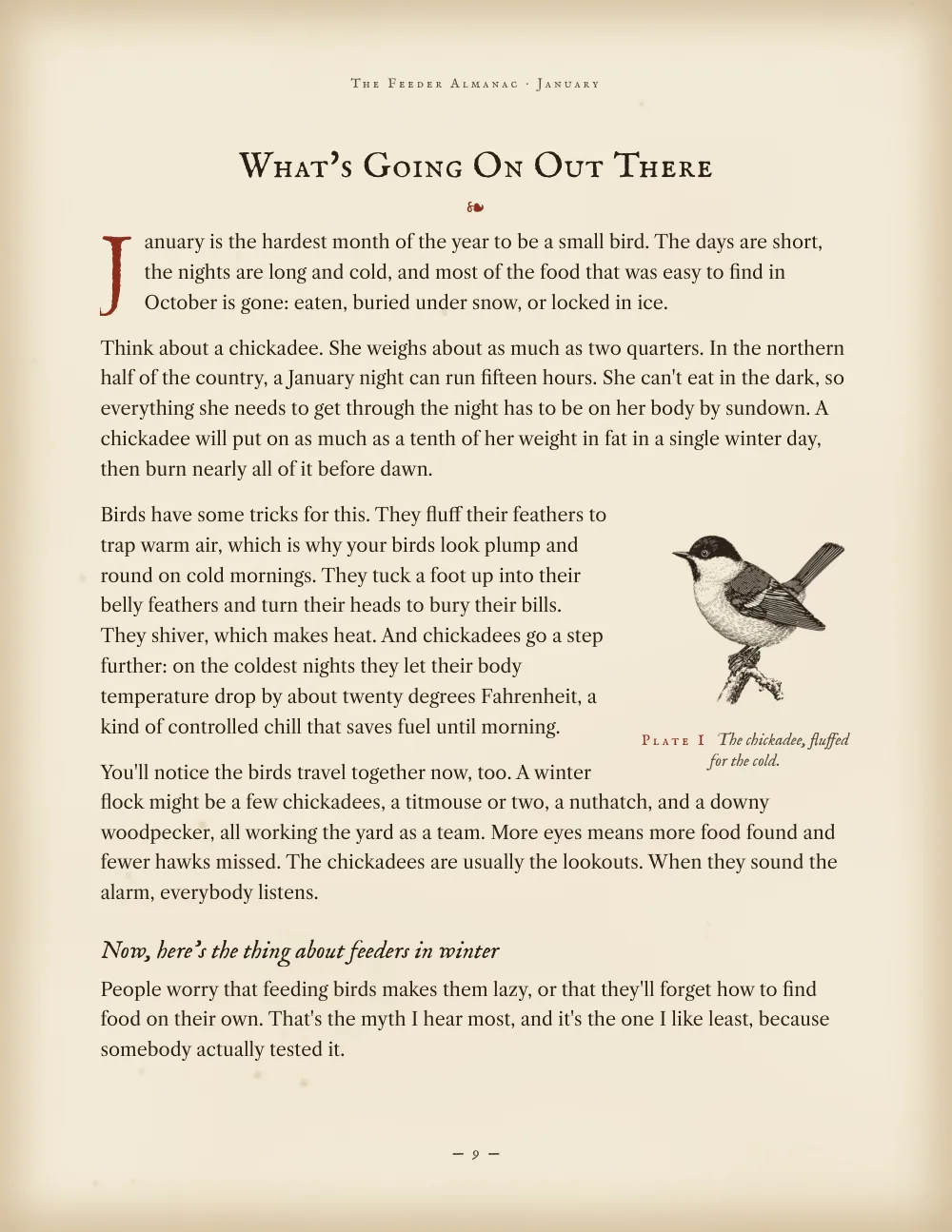 A text page about winter birds with a chickadee plate