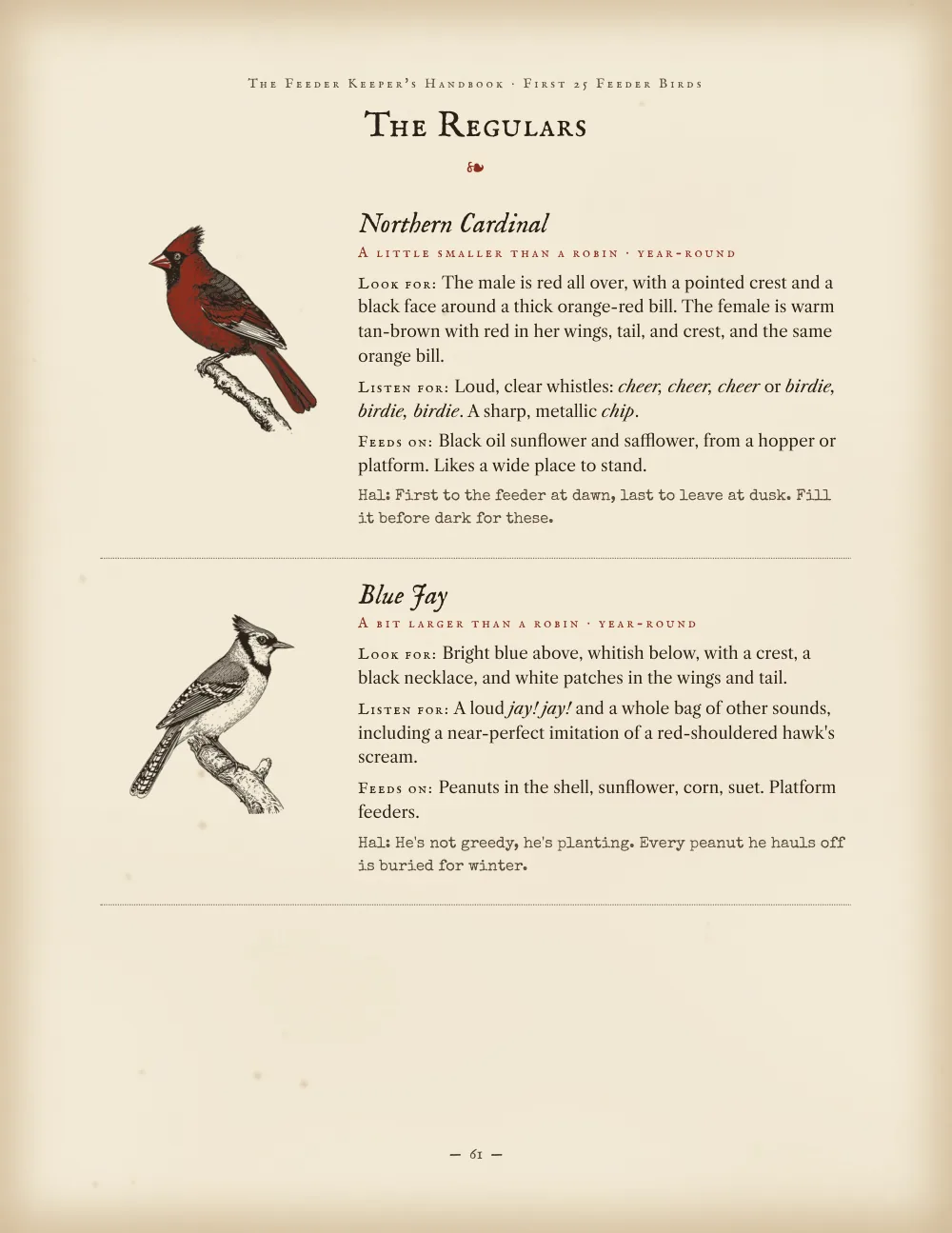 Bird profiles for the northern cardinal and blue jay