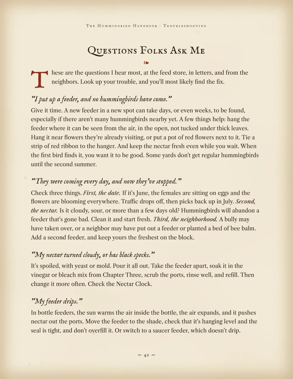 Questions folks ask about hummingbird feeders